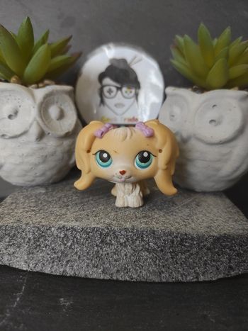 Littlest Petshop LPS chien bichon maltais maltese 175 dog #geektradelpschien