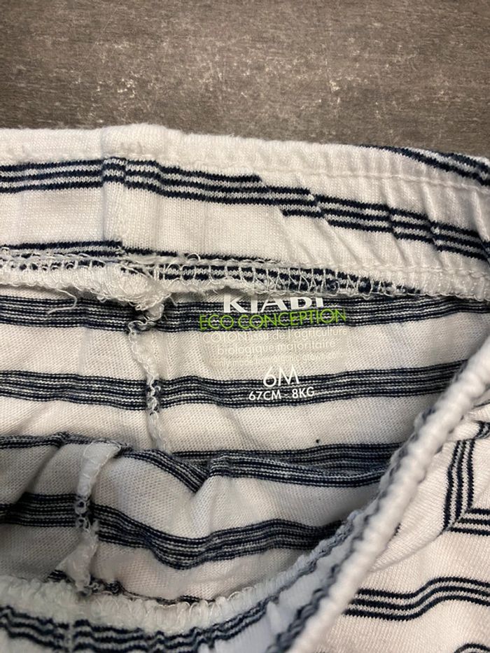 Short fin - photo numéro 2