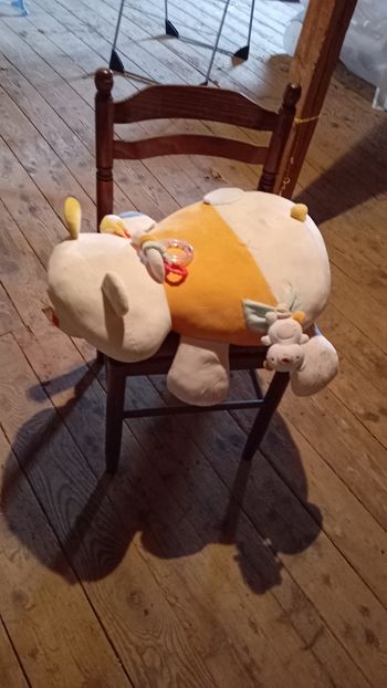 Peluche multi activités