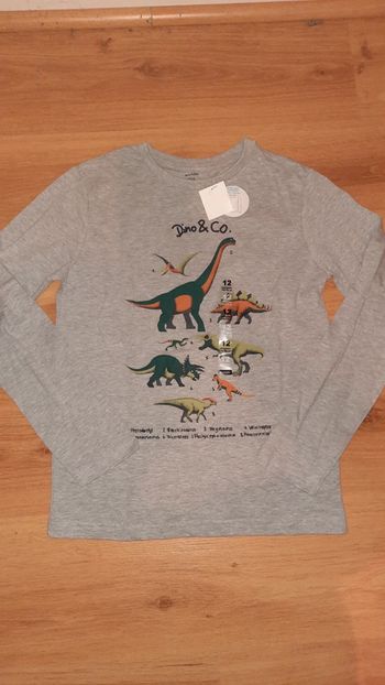Tee shirt dinosaures neuf 12 ans kiabi