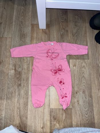 Pyjama rose