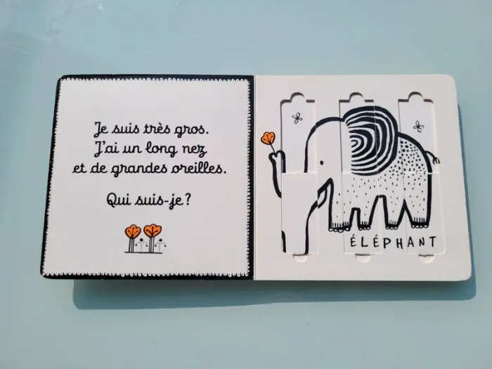 Livre-jeu éditions Casterman 🦓 Safari 🐘 - photo numéro 3