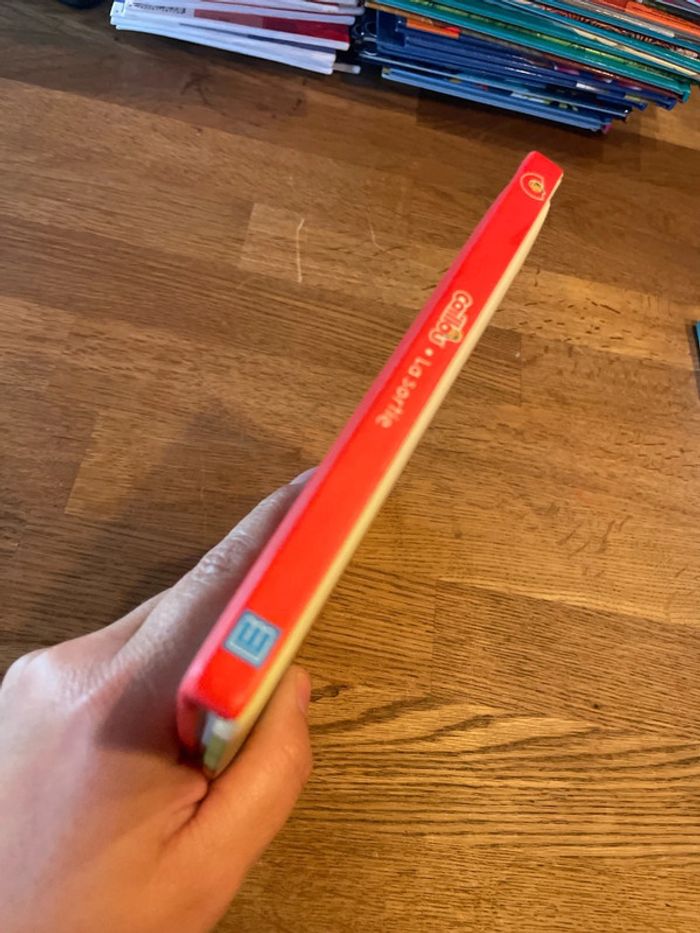 Livre Caillou La sortie - photo numéro 2