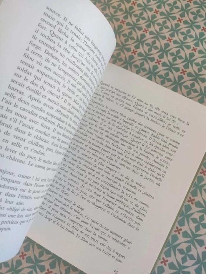 Blancheneige et Rougerose - photo numéro 5