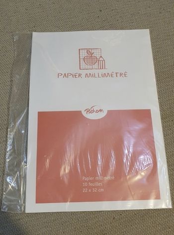 Papier millimétré Pichon 10 feuilles
