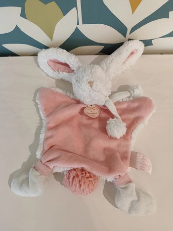 Doudou lapin doudou et compagnie