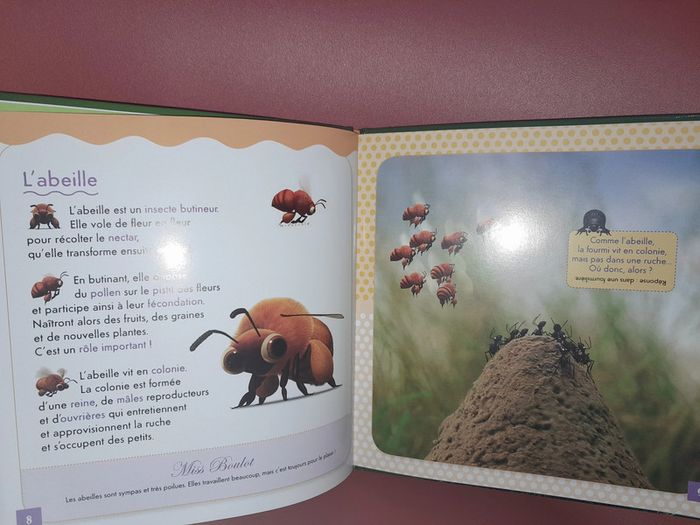 lot série Minuscule DVD + 2 livres + le jeu - photo numéro 12
