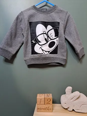 Sweat - disney baby - 12 mois
