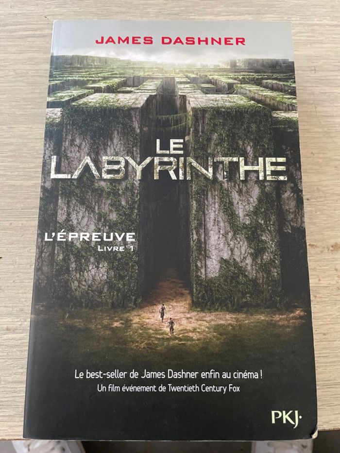 Livre le labyrinthe