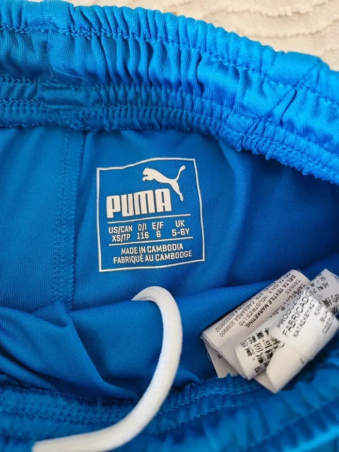 Short puma - photo numéro 3