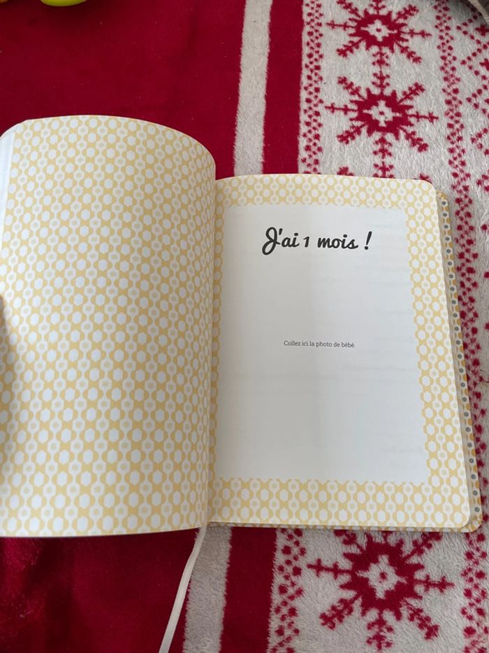 Livre le journal de mon bébé - photo numéro 3