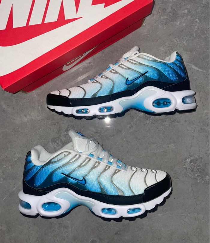 Nike Tn bleu blanc 40