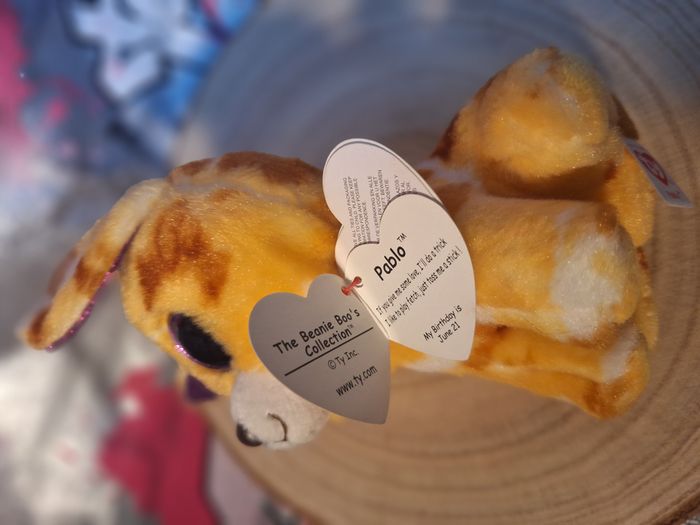 Peluche de collection Ty Beanie Boos PABLO Chihuahua 2015 - photo numéro 10