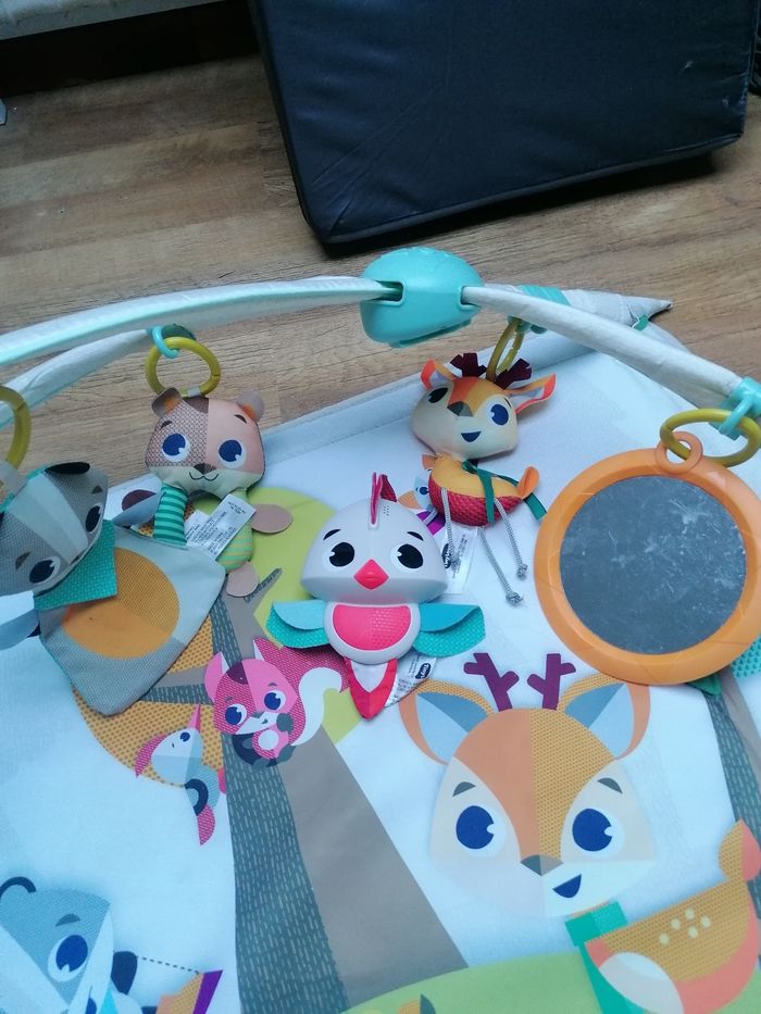 Tapis d'éveil Tiny Love - photo numéro 2