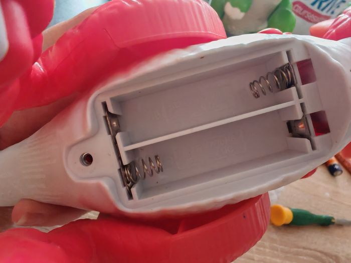 Petit dragon - photo numéro 5