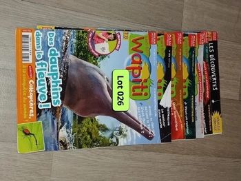 Lot de 7 magazines Wapiti année 2009-10 L026  7586089727
