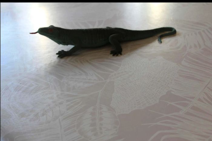 dinosaure iguane - photo numéro 4