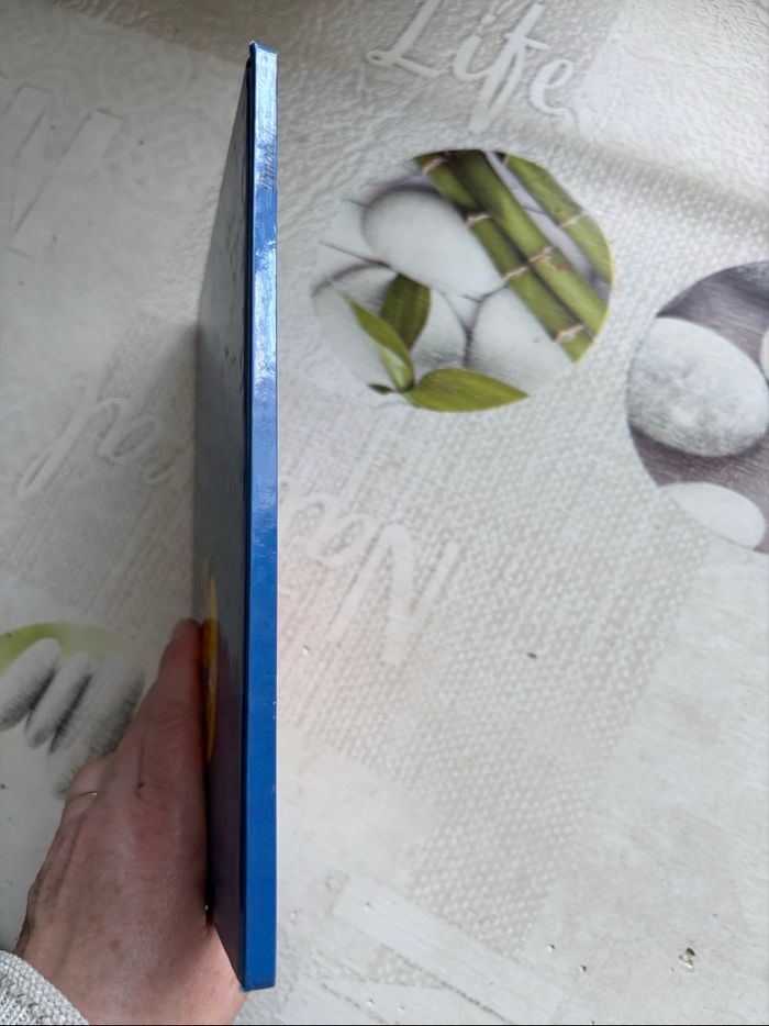 Livre Disney - photo numéro 6