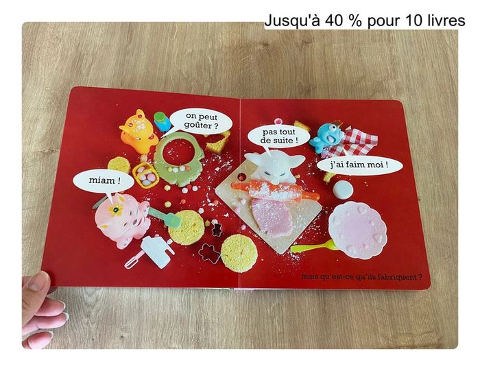 Livre bébé Mais où sont mes doudous ? - photo numéro 14