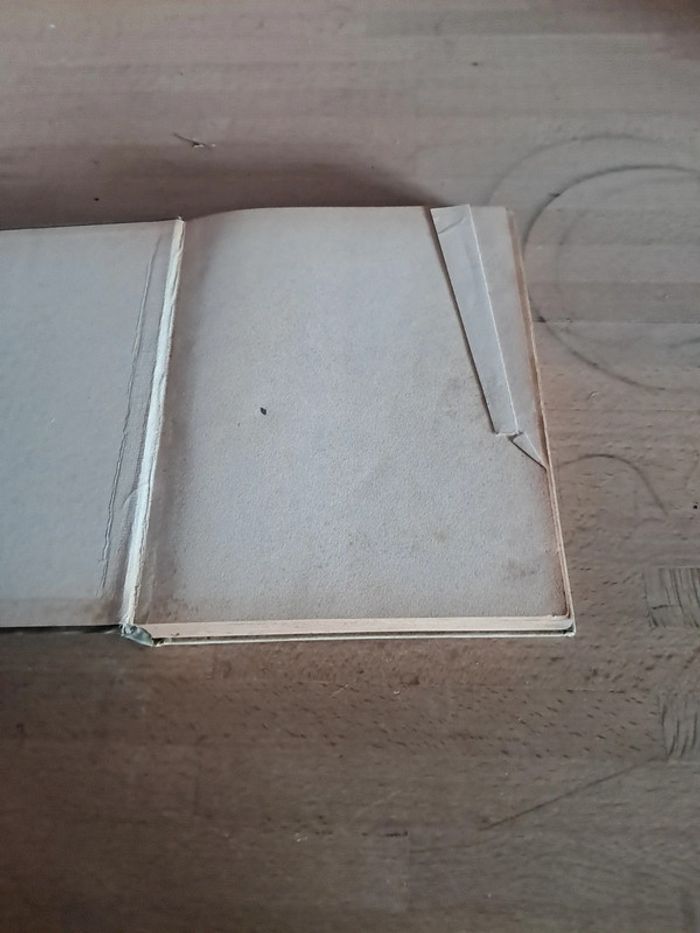 Livre Fancio Pilote de Course Par Olivier Merlin - photo numéro 2