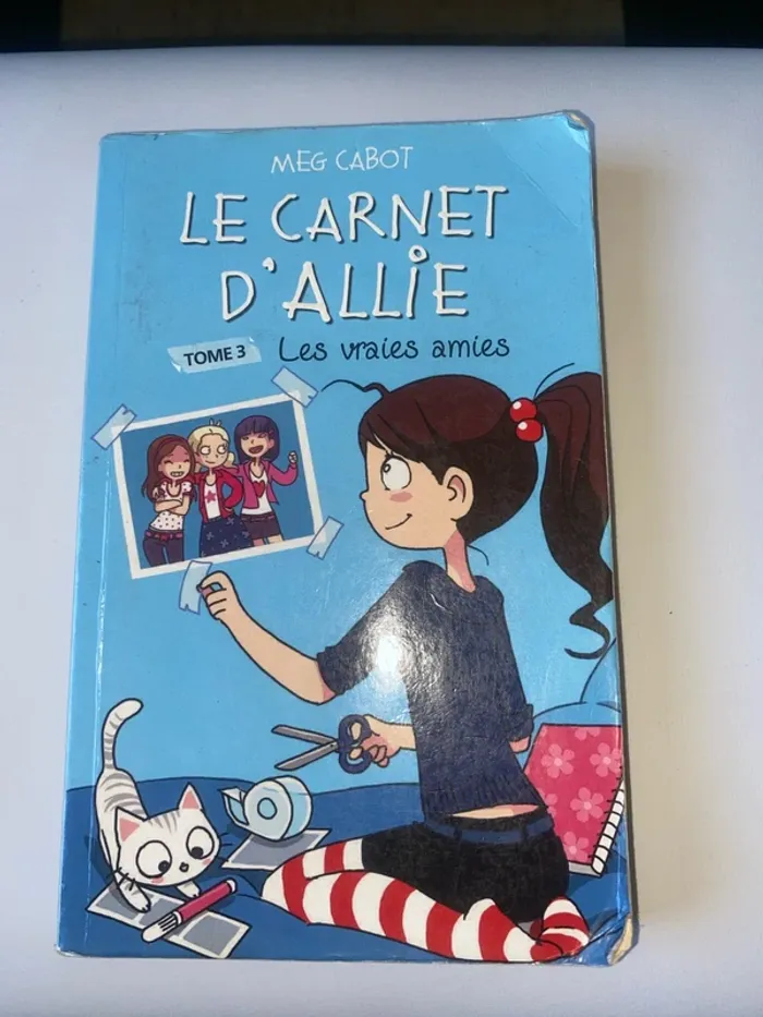 Le carnet d’Allie
