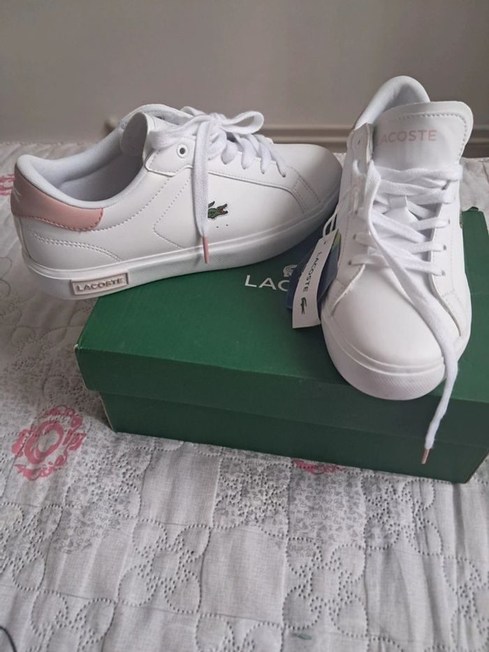 Basket neuve lacoste 37,5 - photo numéro 4