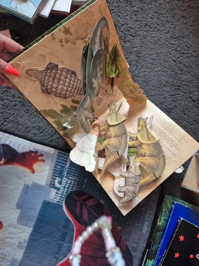 Livre - photo numéro 2
