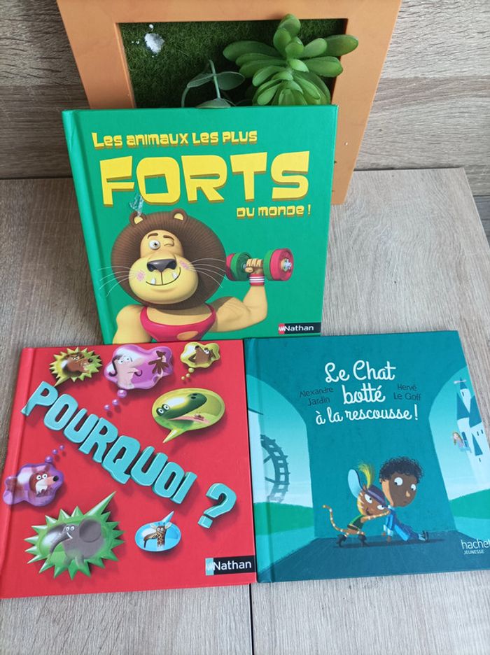 Lot 3 livres enfants