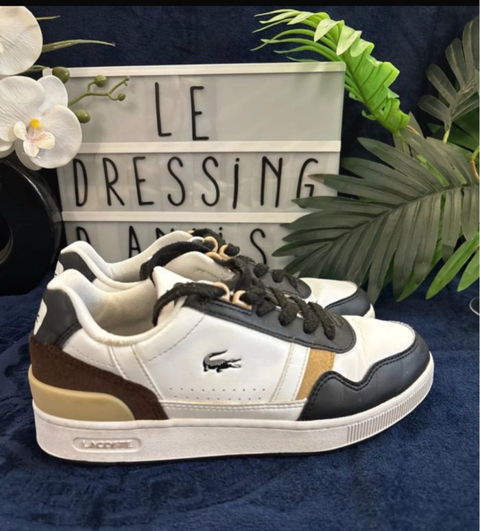 Basket Lacoste taille 37 - photo numéro 4