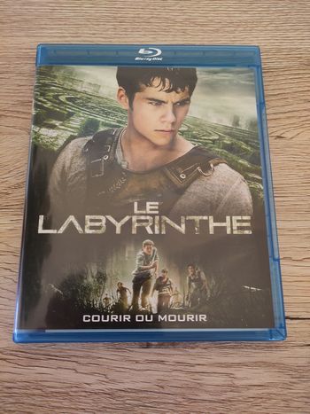 Le Labyrinthe Blu Ray