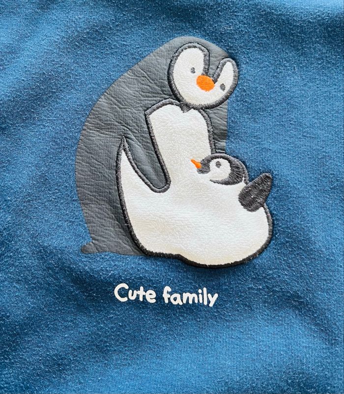 Pull taille 36 mois - photo numéro 2