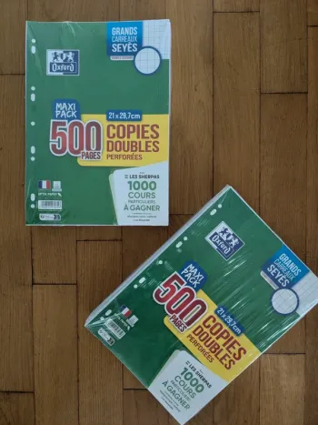 1 ou 2 paquets de 500 copies doubles oxford