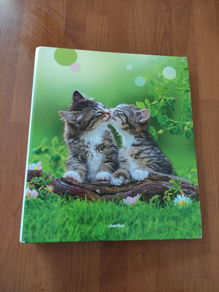 Petit classeur chatons