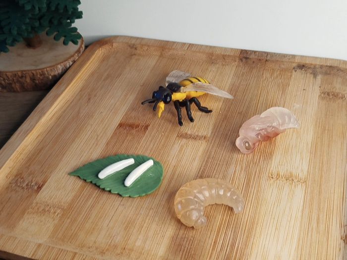 Figurine abeille Cycle de la vie