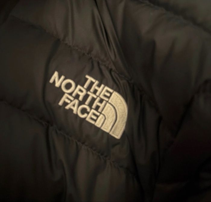 Doudoune the northface - photo numéro 2