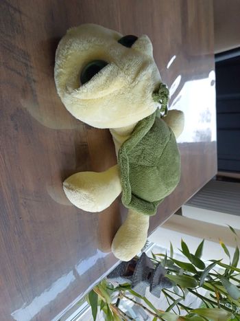 Peluche