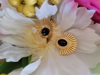 Clips acier inoxydable gold et onyx