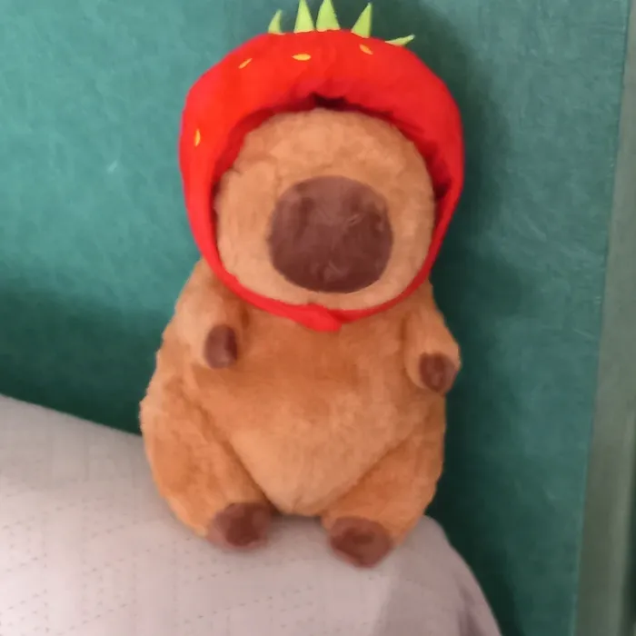 Peluche Capybara - photo numéro 3