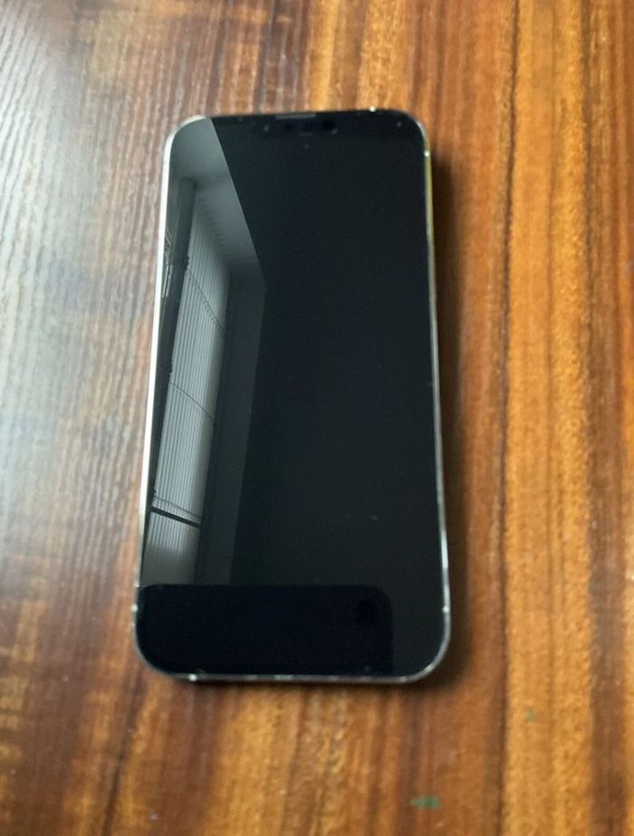 iPhone 13 pro max - photo numéro 3