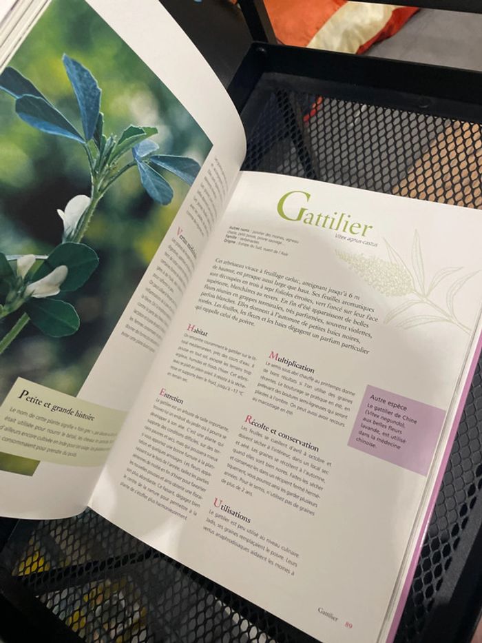 Le grand livre des plantes aromatiques - photo numéro 7