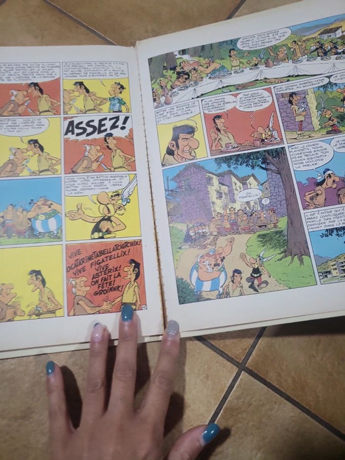 Bande dessinée astérix en Corse - photo numéro 7