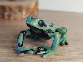 Figurine grenouille venimeuse Animal équatorial
