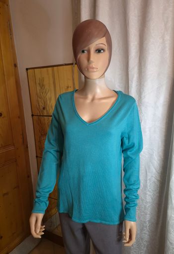 Pull fin femme "Tex" taille L