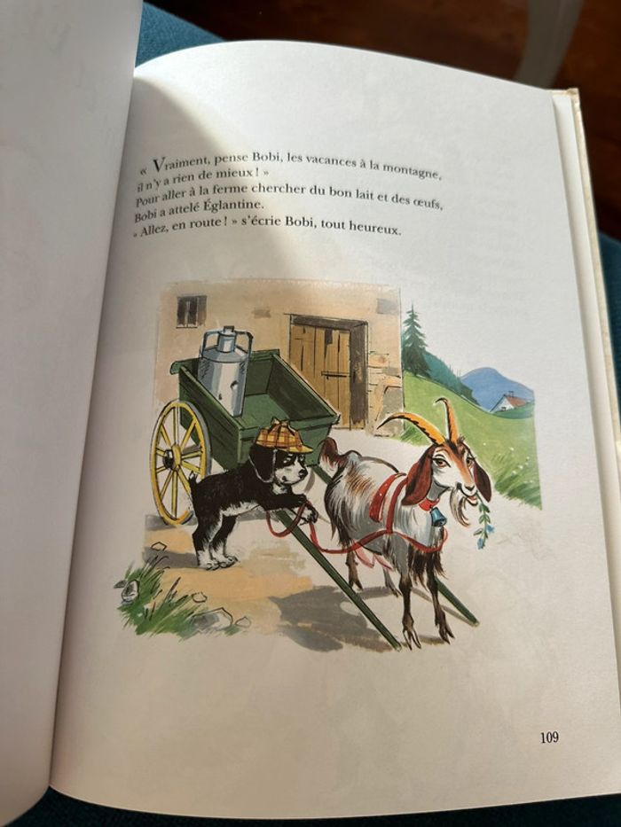 Grand album livre 156 pages Les Amis de Caroline Pierre Probst Hachette Jeunesse reliure bleu - photo numéro 7