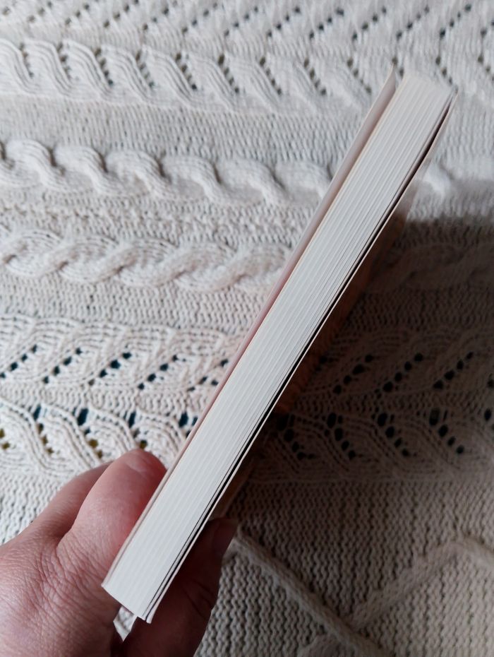 Livre enfant : Nancy Drew détective - photo numéro 3