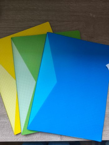 Lot de 3 cahiers petits carreaux