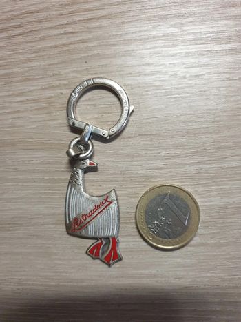 Sublime porte clefs ancien métal