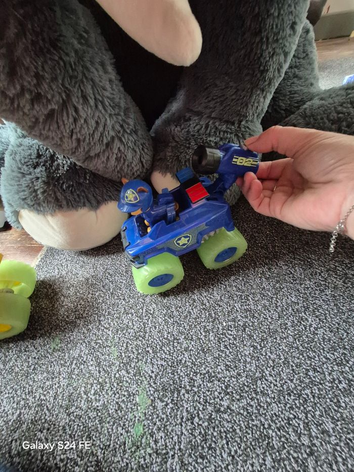 Pat patrouille - photo numéro 2