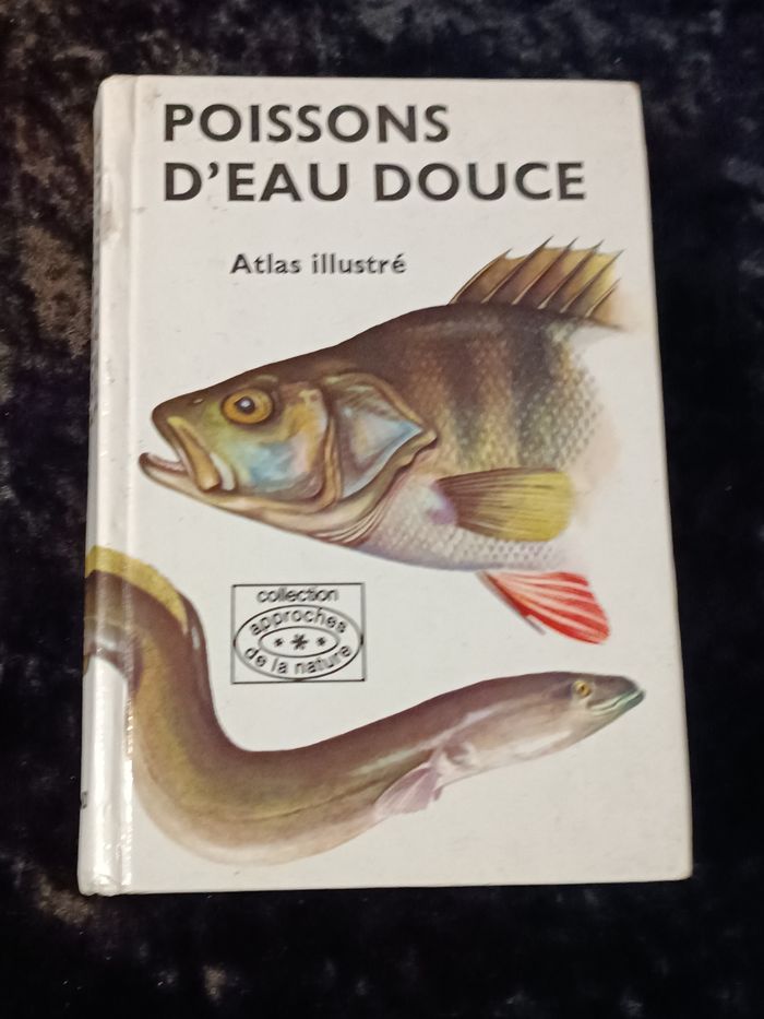 Poissons d'eau douce Grund