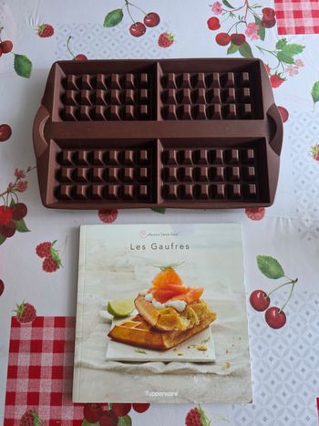 MOULE À GAUFRES TUPPERWARE EN SILICONE AVEC LE LIVRE 31 RECETTES